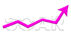 SOAR Agency Logo